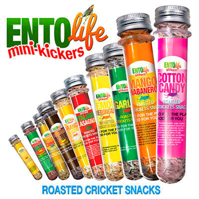 Cotton Candy Crickets